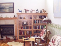 Fireplace mantel and bookcase